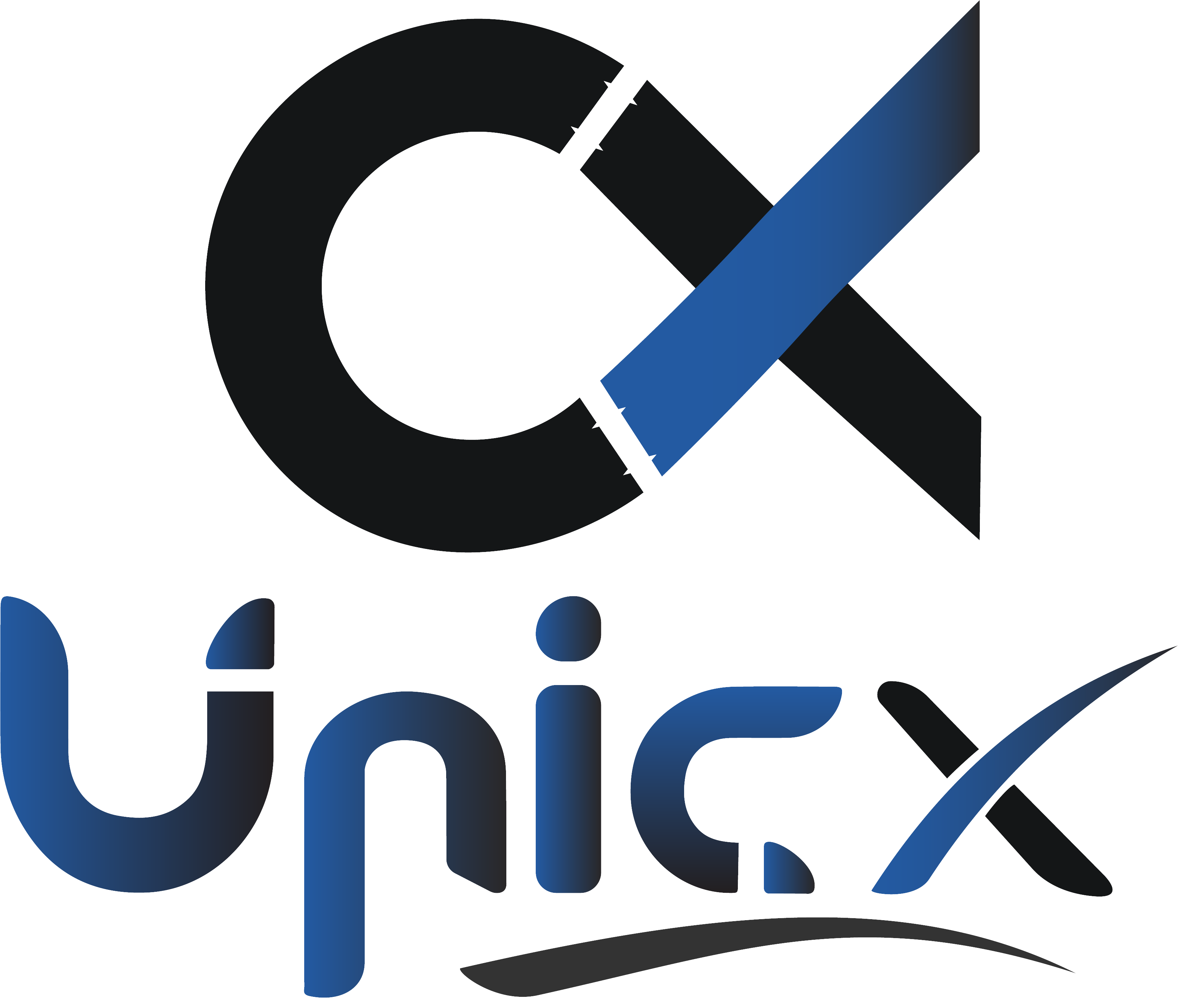 Unics consulting